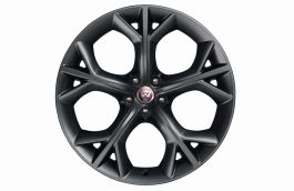 T2R9909