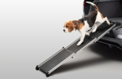 Pet Access Ramp