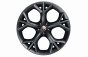 T2R9909