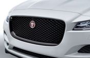 Grille - Gloss Black, Pre 21MY 