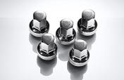 Genuine Jaguar Logo Chrome Wheel Nuts (C2D20072)